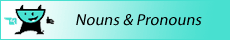 nouns and pronouns